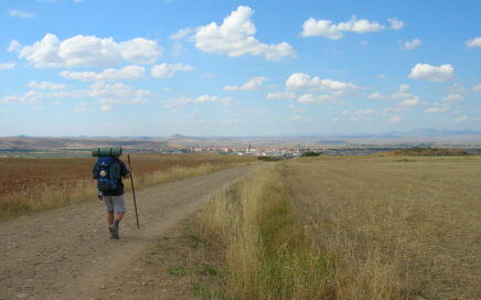 Paisaje con un pueblo al fondo y un peregrino de espaldas, caminando por un camino hacia el pueblo.